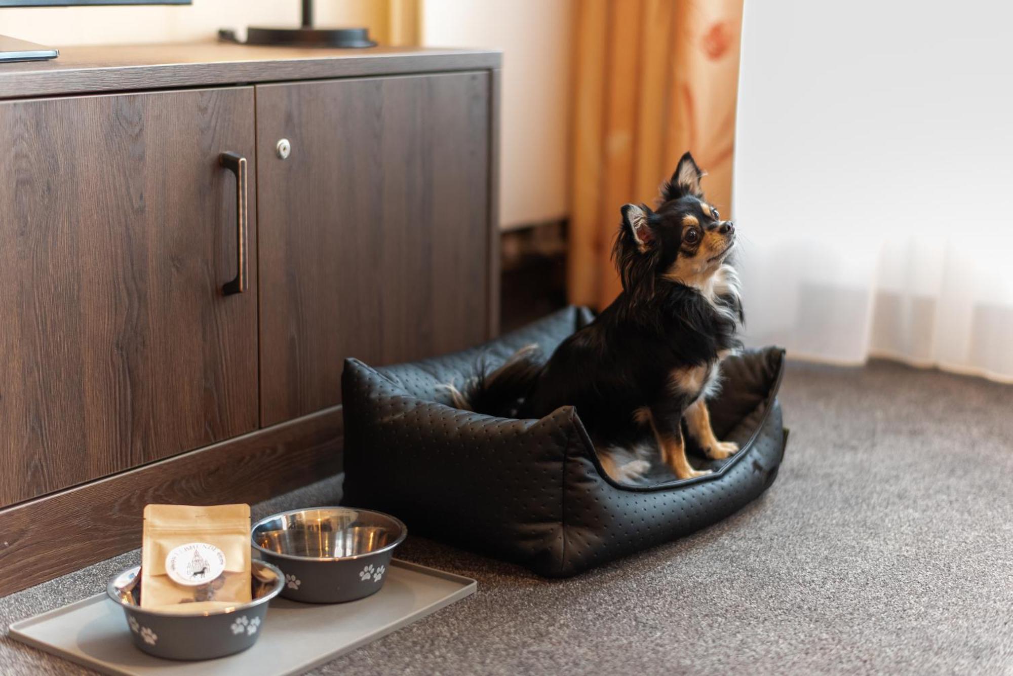 Familienapartment Am Neumarkt Lll Dresden Eksteriør billede